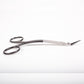 Walter Dorsal Scissors